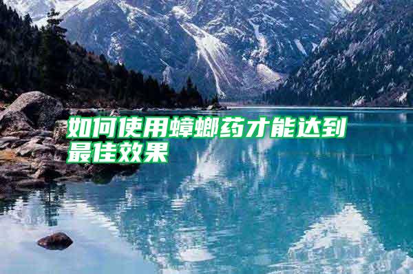 如何使用蟑螂藥才能達到最佳效果