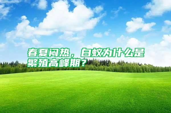 春夏悶熱，白蟻為什么是繁殖高峰期？