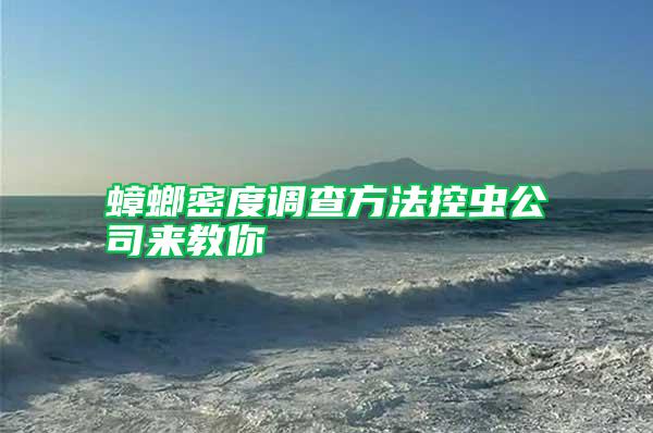 蟑螂密度調(diào)查方法控蟲公司來(lái)教你