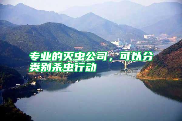 專業(yè)的滅蟲公司,可以分類別殺蟲行動