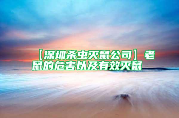 【深圳殺蟲(chóng)滅鼠公司】老鼠的危害以及有效滅鼠
