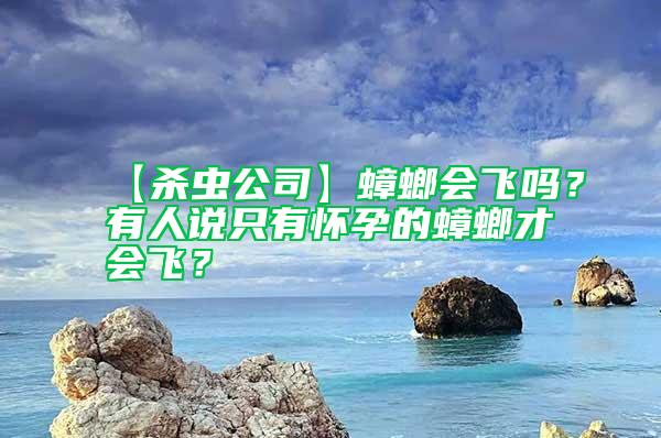 【殺蟲公司】蟑螂會飛嗎？有人說只有懷孕的蟑螂才會飛？