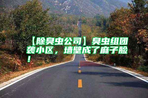 【除臭蟲公司】臭蟲組團襲小區,墻壁成了麻子臉!