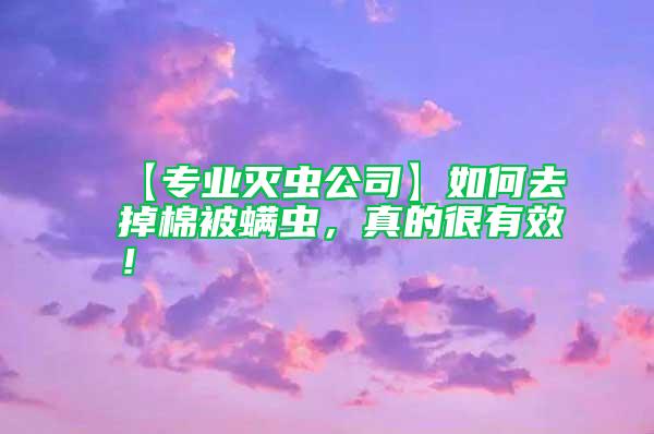 【專業滅蟲公司】如何去掉棉被螨蟲，真的很有效！