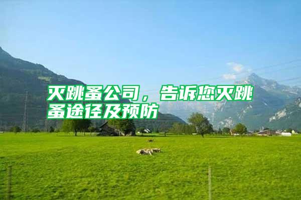 滅跳蚤公司，告訴您滅跳蚤途徑及預防