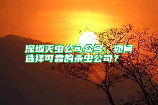 深圳滅蟲公司眾多，如何選擇可靠的殺蟲公司？