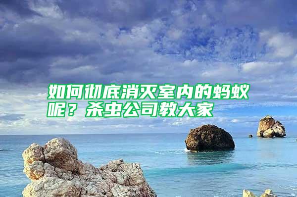 如何徹底消滅室內(nèi)的螞蟻呢?殺蟲(chóng)公司教大家