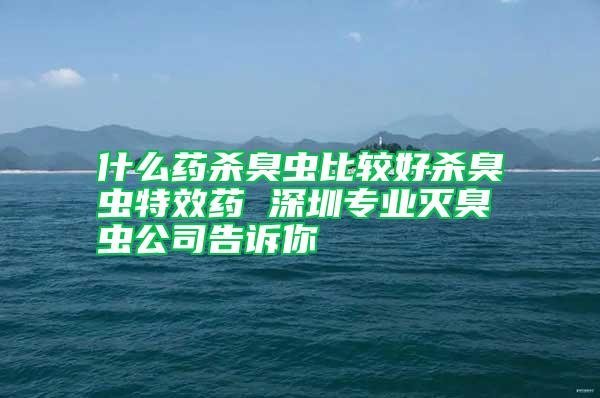 什么藥殺臭蟲比較好殺臭蟲特效藥 深圳專業(yè)滅臭蟲公司告訴你