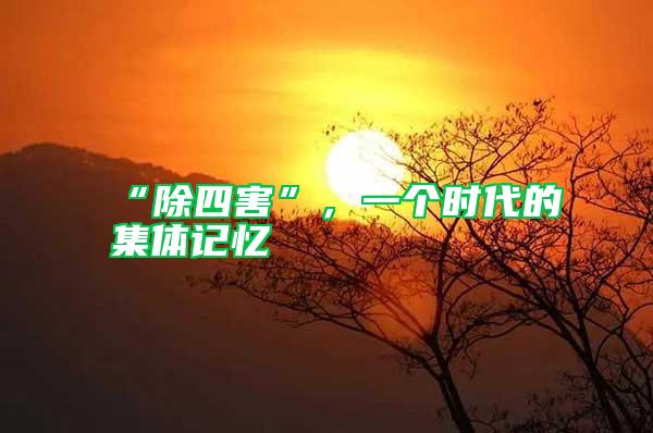 “除四害”，一個時代的集體記憶