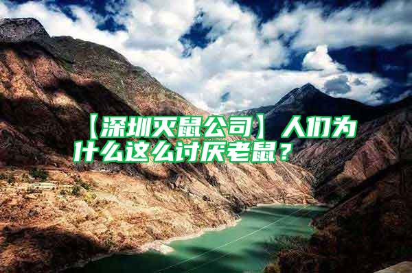 【深圳滅鼠公司】人們?yōu)槭裁催@么討厭老鼠？