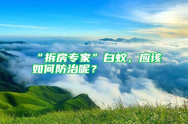 “拆房專家”白蟻,應(yīng)該如何防治呢?
