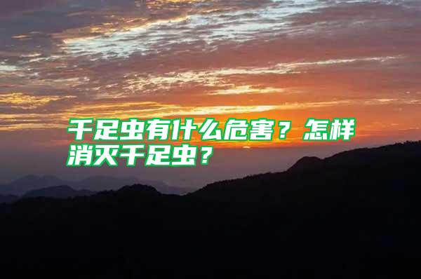 千足蟲有什么危害？怎樣消滅千足蟲？
