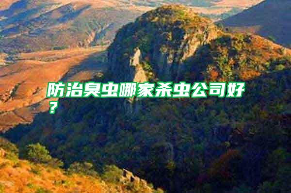 防治臭蟲(chóng)哪家殺蟲(chóng)公司好？