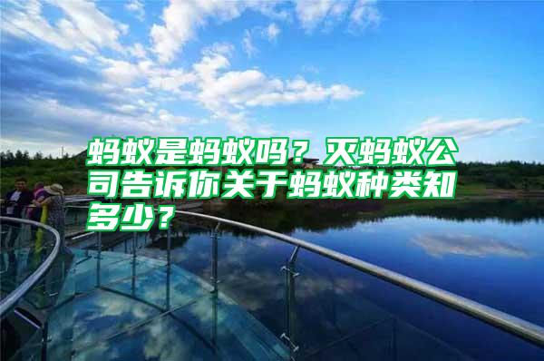 螞蟻是螞蟻嗎？滅螞蟻公司告訴你關于螞蟻種類知多少？