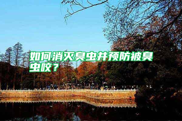 如何消滅臭蟲并預防被臭蟲咬?