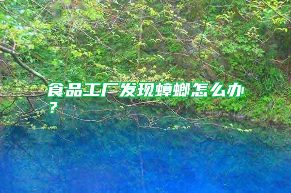 食品工廠發現蟑螂怎么辦？
