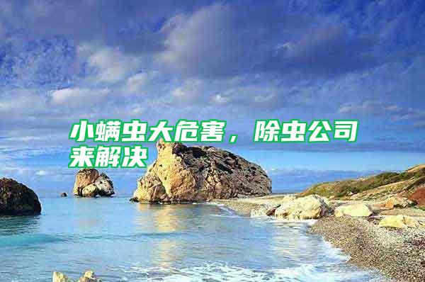 小螨蟲大危害，除蟲公司來解決
