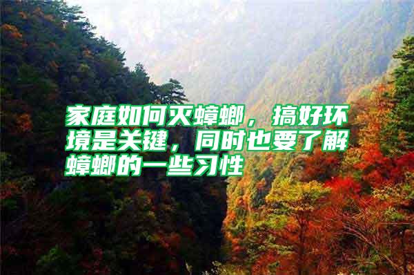 家庭如何滅蟑螂，搞好環(huán)境是關(guān)鍵，同時也要了解蟑螂的一些習(xí)性