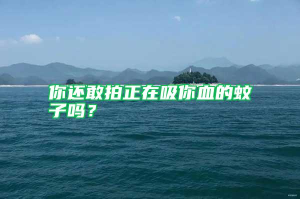 你還敢拍正在吸你血的蚊子嗎？