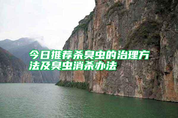 今日推薦殺臭蟲(chóng)的治理方法及臭蟲(chóng)消殺辦法