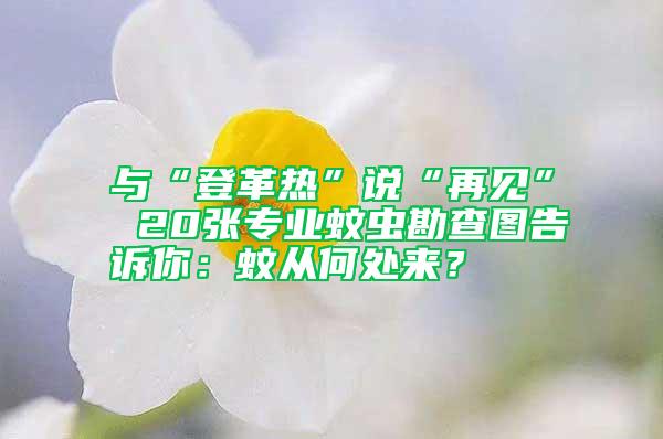 與“登革熱”說“再見” 20張專業蚊蟲勘查圖告訴你:蚊從何處來?