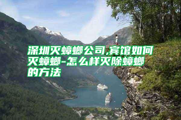 深圳滅蟑螂公司,賓館如何滅蟑螂-怎么樣滅除蟑螂的方法