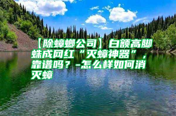 【除蟑螂公司】白額高腳蛛成網(wǎng)紅“滅蟑神器”，靠譜嗎？-怎么樣如何消滅蟑