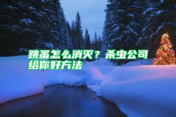 跳蚤怎么消滅？殺蟲公司給你好方法