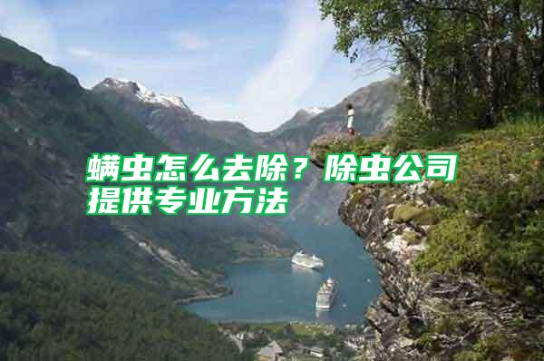 螨蟲怎么去除？除蟲公司提供專業方法