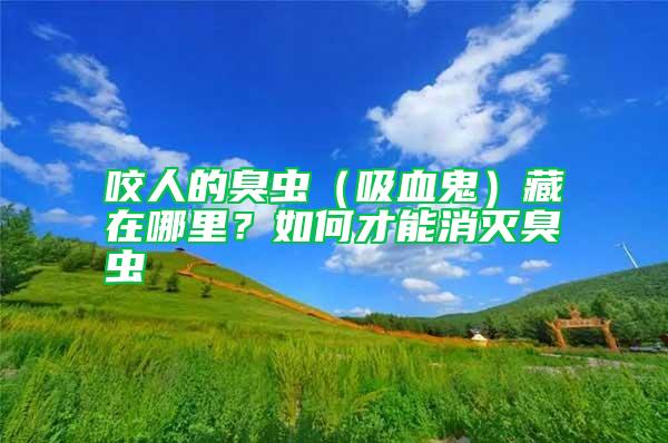 咬人的臭蟲（吸血鬼）藏在哪里？如何才能消滅臭蟲