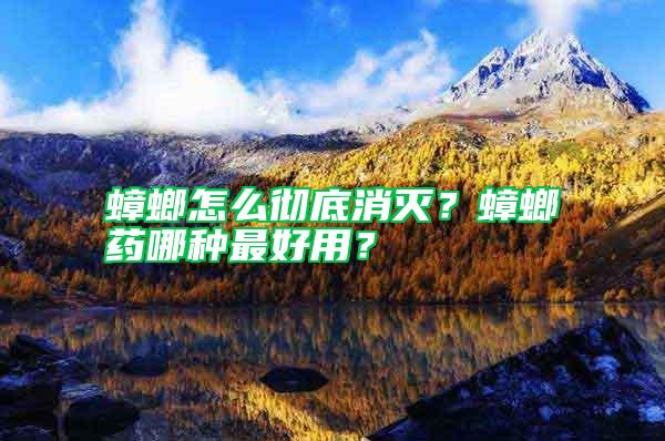 蟑螂怎么徹底消滅？蟑螂藥哪種最好用？
