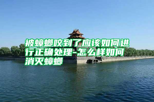 被蟑螂咬到了應該如何進行正確處理-怎么樣如何消滅蟑螂