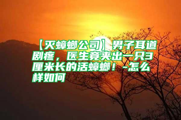 【滅蟑螂公司】男子耳道劇疼,醫生竟夾出一只3厘米長的活蟑螂!-怎么樣如何