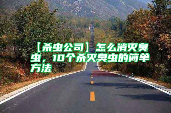 【殺蟲公司】怎么消滅臭蟲，10個殺滅臭蟲的簡單方法