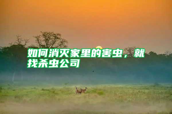 如何消滅家里的害蟲,就找殺蟲公司