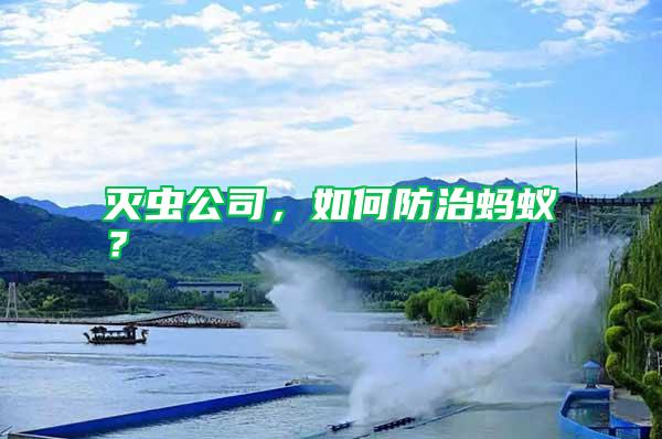 滅蟲公司，如何防治螞蟻？