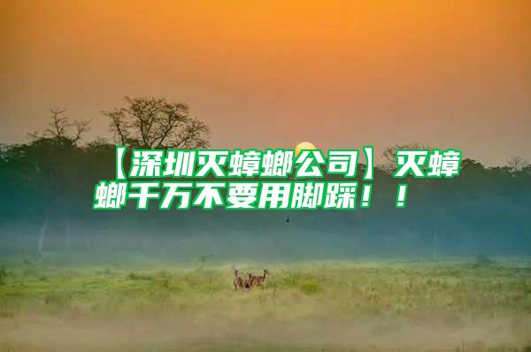 【深圳滅蟑螂公司】滅蟑螂千萬(wàn)不要用腳踩!!