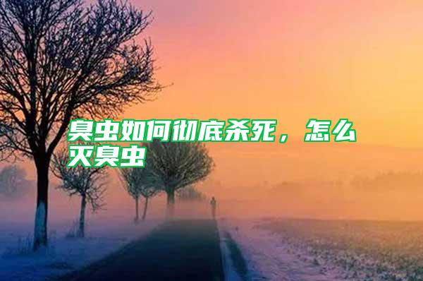 臭蟲如何徹底殺死，怎么滅臭蟲