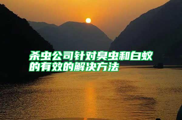 殺蟲公司針對(duì)臭蟲和白蟻的有效的解決方法