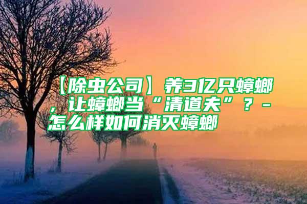 【除蟲公司】養(yǎng)3億只蟑螂，讓蟑螂當(dāng)“清道夫”？-怎么樣如何消滅蟑螂