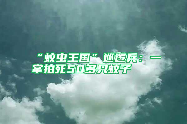 “蚊蟲王國”巡邏兵：一掌拍死50多只蚊子