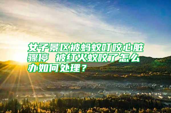 女子景區被螞蟻叮咬心臟驟停 被紅火蟻咬了怎么辦如何處理?