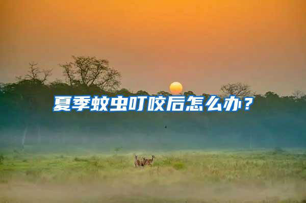 夏季蚊蟲叮咬后怎么辦?