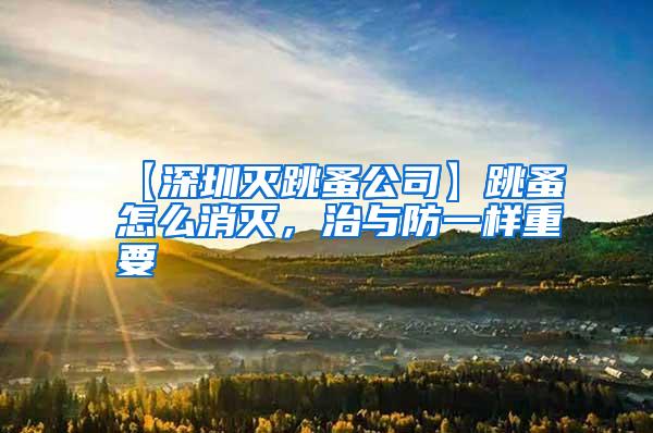 【深圳滅跳蚤公司】跳蚤怎么消滅，治與防一樣重要