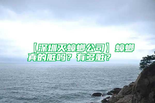 【深圳滅蟑螂公司】蟑螂真的臟嗎?有多臟?