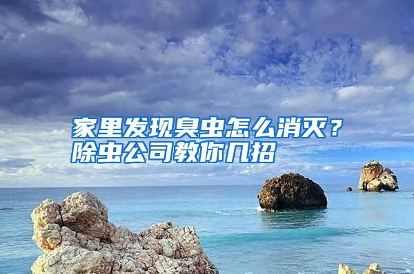 家里發(fā)現(xiàn)臭蟲(chóng)怎么消滅？除蟲(chóng)公司教你幾招