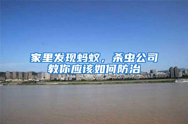 家里發現螞蟻，殺蟲公司教你應該如何防治