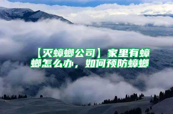 【滅蟑螂公司】家里有蟑螂怎么辦，如何預(yù)防蟑螂