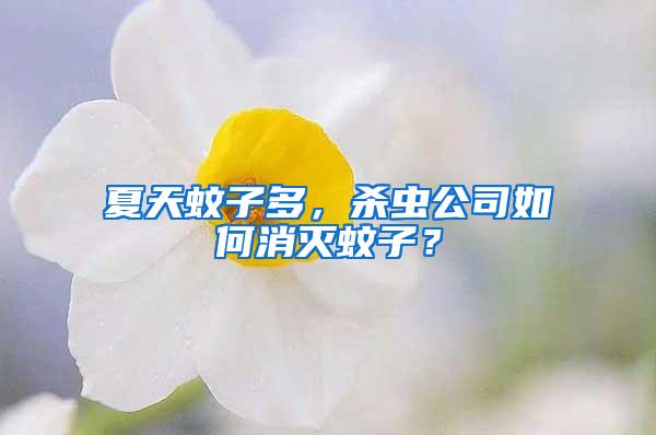 夏天蚊子多，殺蟲公司如何消滅蚊子？
