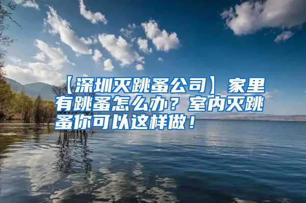【深圳滅跳蚤公司】家里有跳蚤怎么辦？室內滅跳蚤你可以這樣做！